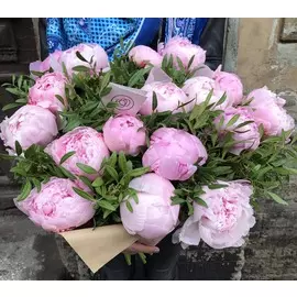 17 розовых пионов Premium с зеленью