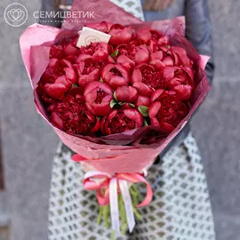 19 бордовых пионов Premium