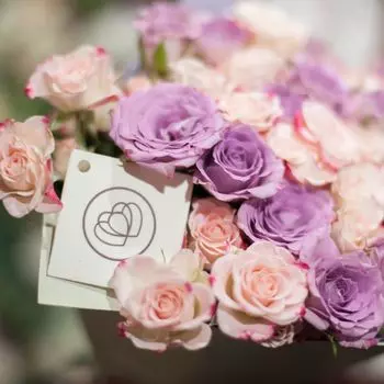 19 кустовых роз 40 см