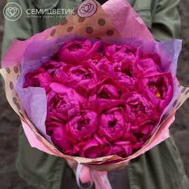 19 малиновых пионов Standart