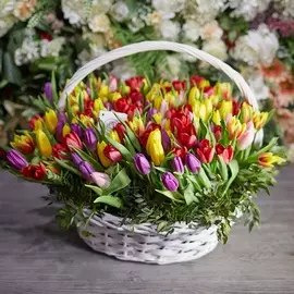 201 тюльпан микс с зеленью в корзине