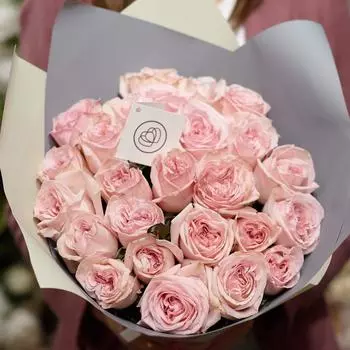 25 ароматных садовых роз Pink O'Hara 40 см