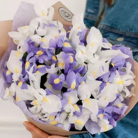 25 белых и синих ирисов микс