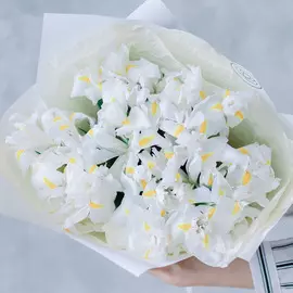 25 белых ирисов