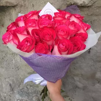 25 белых с розовой каймой роз Rivera 50 см