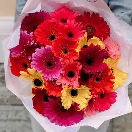 25 гербер микс