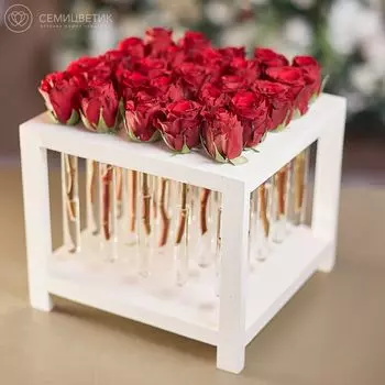 25 красных кенийских роз в пробирках