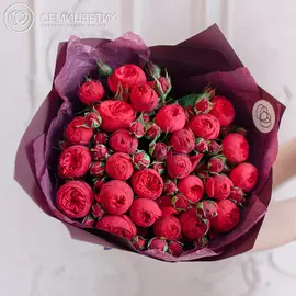 25 красных пионовидных роз Red Piano 40 см