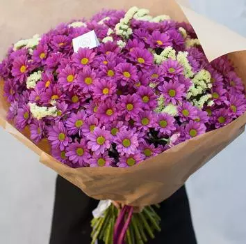 25 кустовых хризантем со статицей