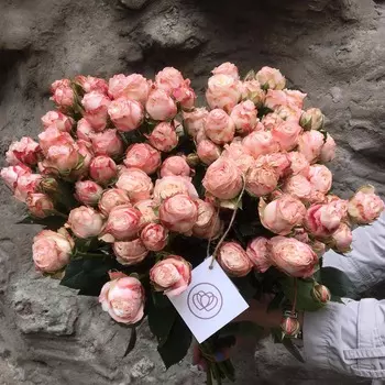 25 кустовых пионовидных роз Bombastik 50 см