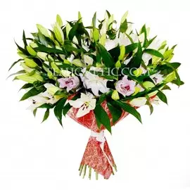 25 лилий крупных ориентальных