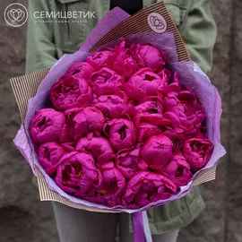 25 малиновых пионов Standart