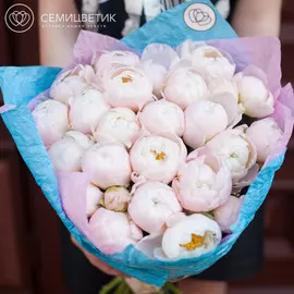 25 нежно-розовых пионов Standart