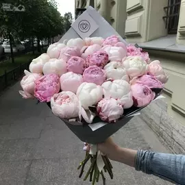 25 пионов белый и розовый микс Premium