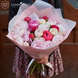 25 пионов микс Premium