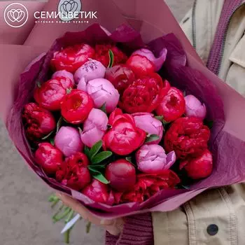 25 пионов микс Standart