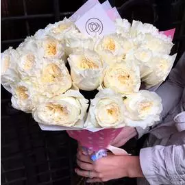 25 пионовидных роз Patience 50 см