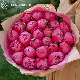 25 ярко-розовых пионов Premium