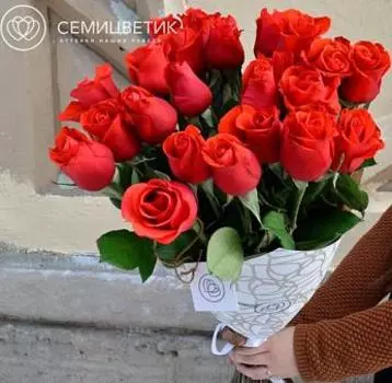 25 роз Cherry O 50 см