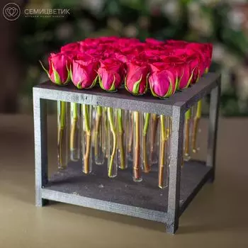 25 розовых кенийских роз в пробирках