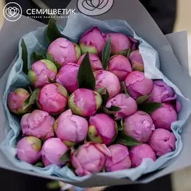 25 розовых пионов Standart