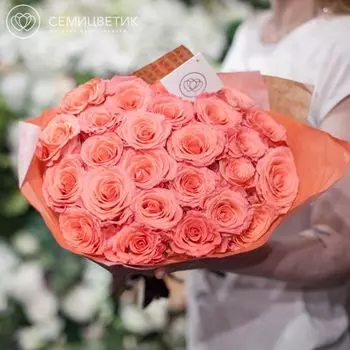 25 розовых роз Amsterdam 50 см в упаковке