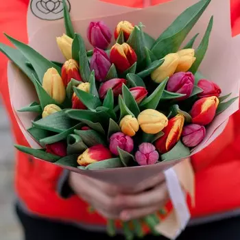 25 тюльпанов микс