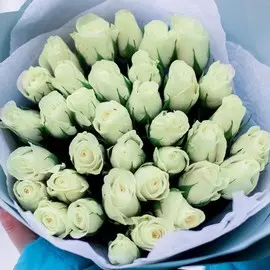 35 белых роз Standart