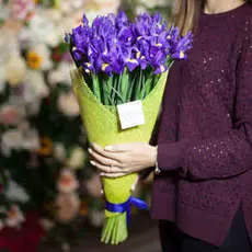 35 фиолетовых ирисов