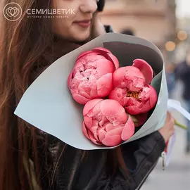 3 коралловых пиона Premium