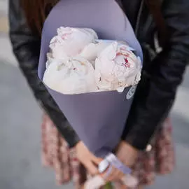 3 нежно-розовых пиона Premium