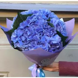 3 синие гортензии