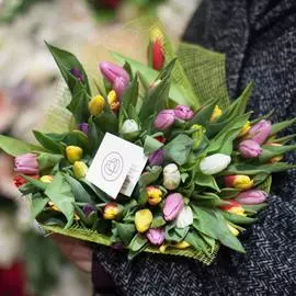 45 тюльпанов микс