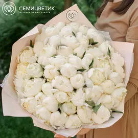 51 белый пион Premium