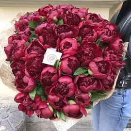 51 бордовый пион Premium