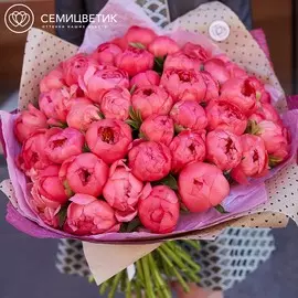 51 коралловый пион Premium