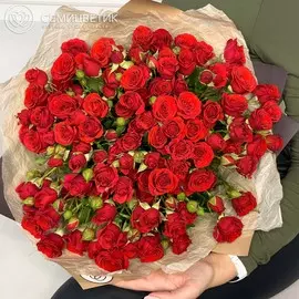 51 красная кустовая роза