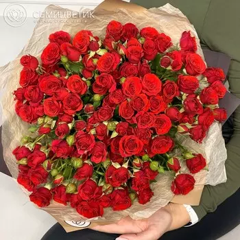 51 красная кустовая роза в упаковке