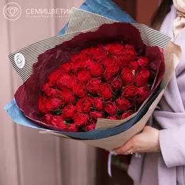 51 красная роза 40 см Standart SP