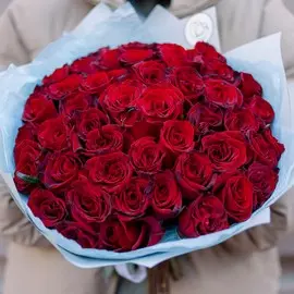 51 красная с темной каймой роза (Российская) 30 см