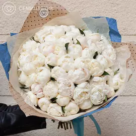 51 кремовый пион Standart