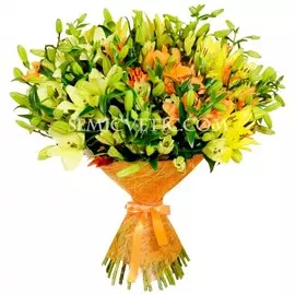 51 лилия азиатка