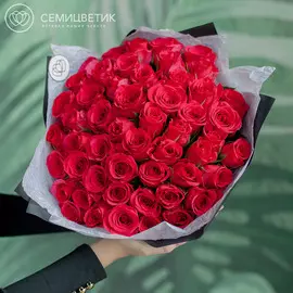 51 малиновая роза 40 см Premium