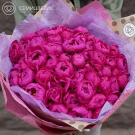 51 малиновый пион Standart