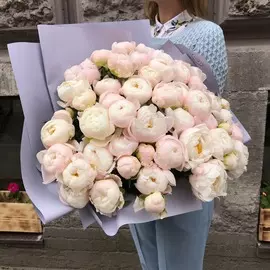 51 нежно-розовый пион Standart