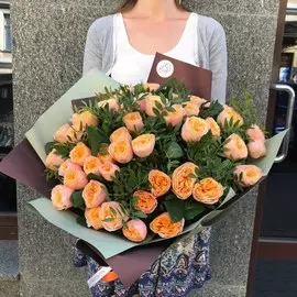 51 пионовидная роза Peach Vuvuzela