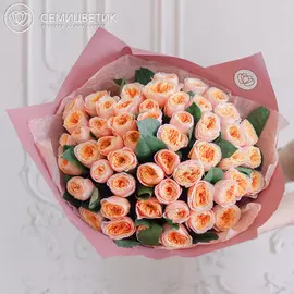 51 пионовидная роза Vuvuzela