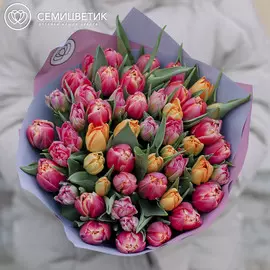 51 пионовидный тюльпан микс