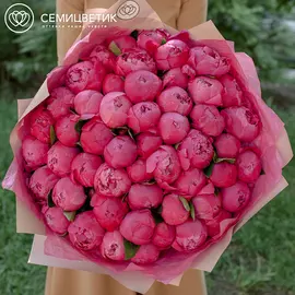 51 ярко-розовый пион Premium