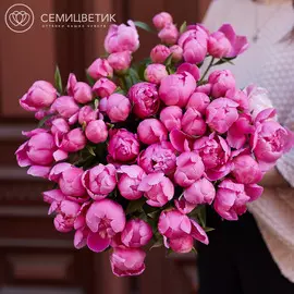 51 ярко-розовый пион Standart